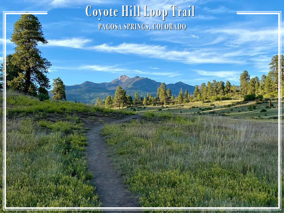 Coyote Hill Loop Trail – Pagosa Springs, Colorado – Avada Lifestyle