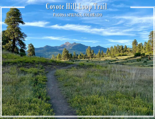 Coyote Hill Loop Trail – Pagosa Springs, Colorado